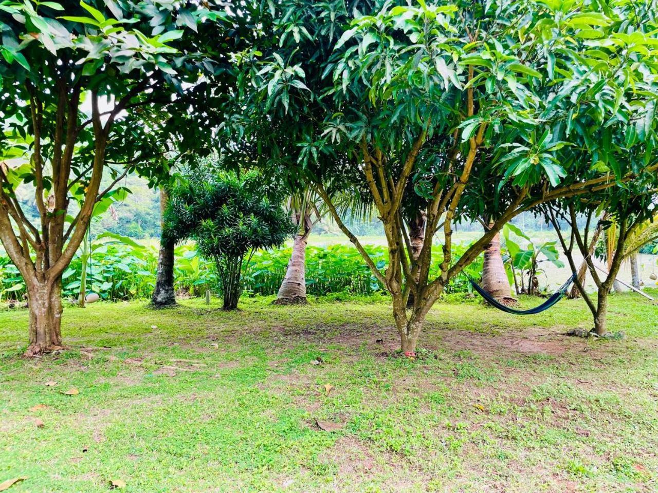 Secret Garden Mirissa