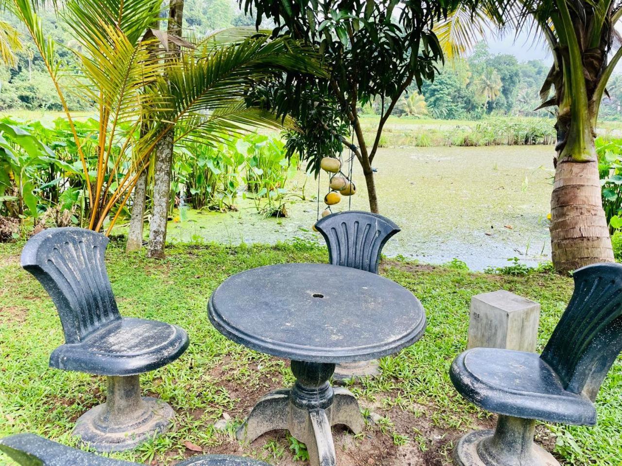 Secret Garden * Mirissa